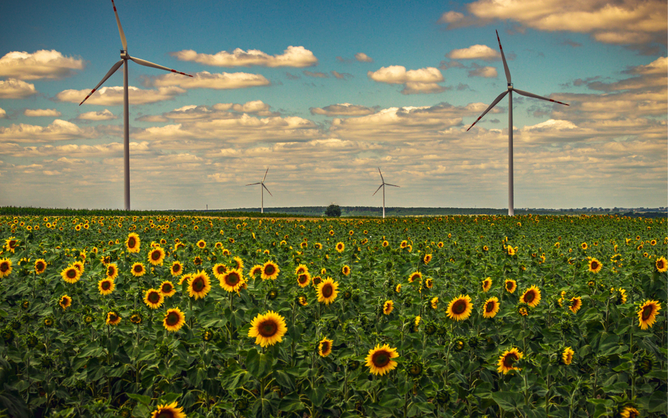 Z energetyką wiatrową wiąże nadzieje nie tylko polski rząd, ale i europejscy inwestorzy