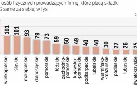 Najwięcej mikrofirm Na mazowszu