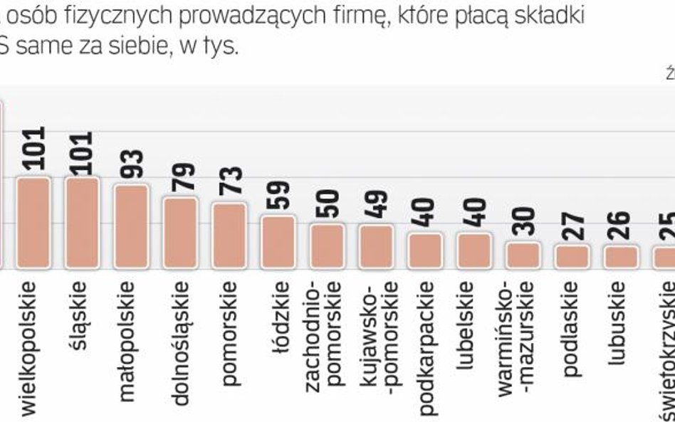 Najwięcej mikrofirm Na mazowszu