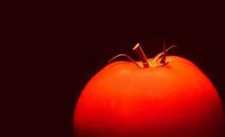 Polska nie rejestruje upraw GMO