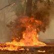 Rekord dzień po dniu: Średnia temperatura w Australii - 41,9 C