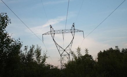 Prawo stało się przychylne dla przedsiębiorstw przesyłowych