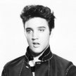 85 tysięcy Elvisów