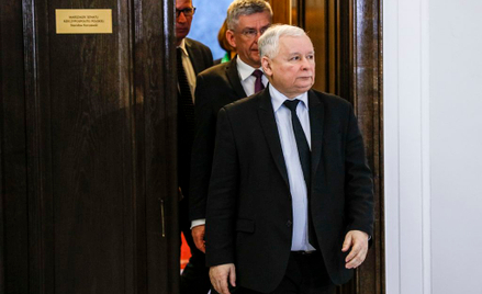 Krzyżak: Tylko PiS może zatrzymać nienawiść