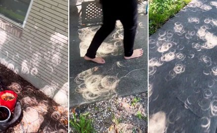 W trakcie zaćmienia Słońca cienie rzucane przy liście przybierają niezwykłe kształty