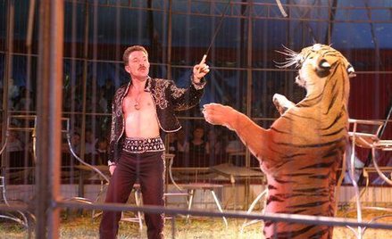 Własna firma i określone przejawy aktywności