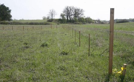 Jak podzielić grunt na więcej działek