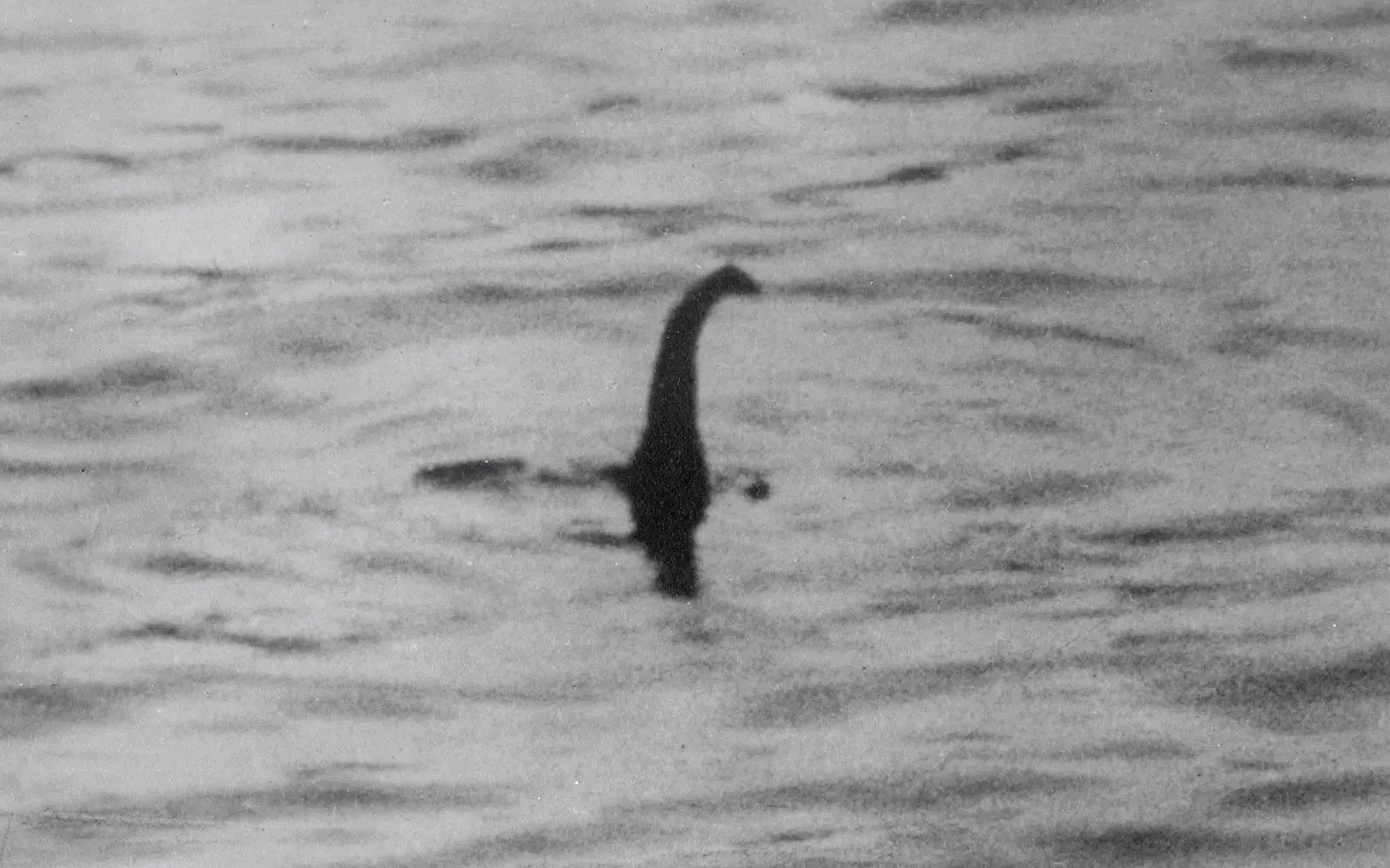 Wiara tworzy potwory: Nessie