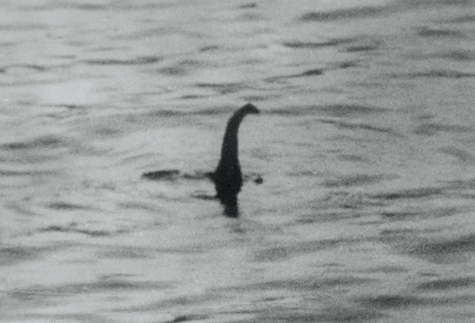 Wiara tworzy potwory: Nessie