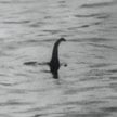 Dzięki „zdjęciu chirurga” (wykonanemu w 1934 r.) jezioro Loch Ness zyskało atrakcję turystyczną, na 