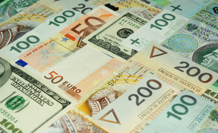 Złoty pod presją. Frank znów blisko 5 zł