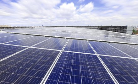 Sunex: Popyt dopisuje