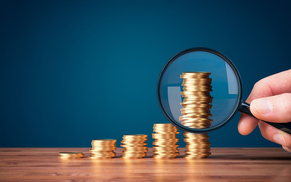 Fundacja w Polsce czy w Vaduz? Jaka jest rzeczywista cena spokoju fundatora?