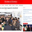 Iran: 19-letni żołnierz stracił nogę ratując psa