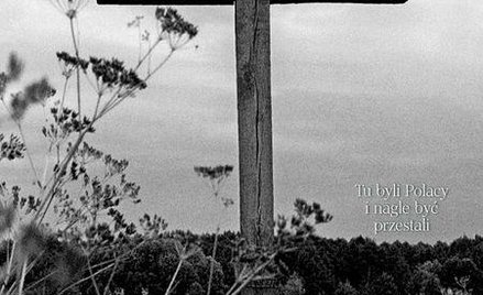 Numer 27 (1062) 6-7 lipca 2013