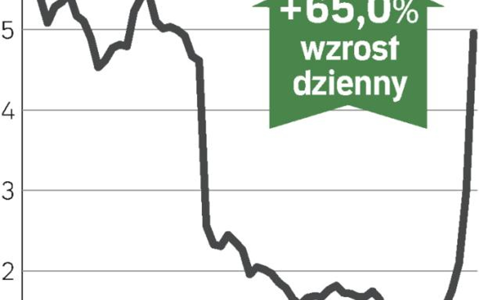 Wielkie falowanie wartości akcji