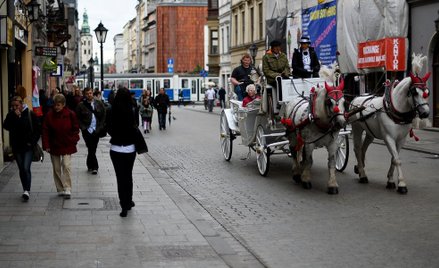 Katolik, lustrator, KOD-owiec