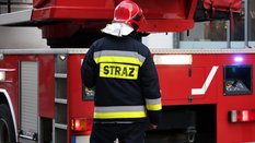 Ogień objął powierzchnię około 3 tys. metrów kwadratowych, do akcji skierowano 24 zastępy gaśnicze.