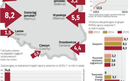 W naszym kraju systematycznie rośnie zużycie gazu ziemnego