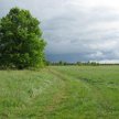 Nie każdą działkę można uznać za zieleń