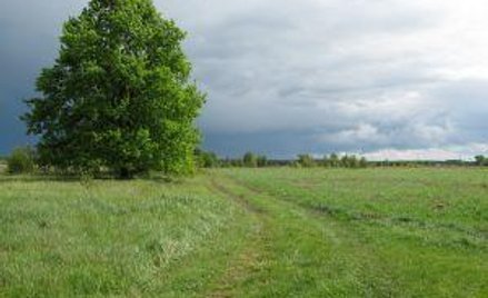 Nie każdą działkę można uznać za zieleń
