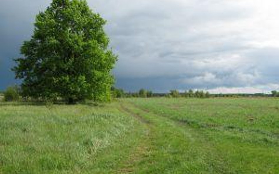 Nie każdą działkę można uznać za zieleń