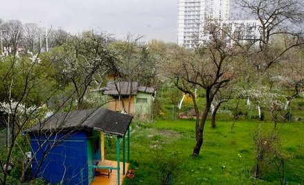 Rodzinne ogrody działkowe czekają poważne zmiany
