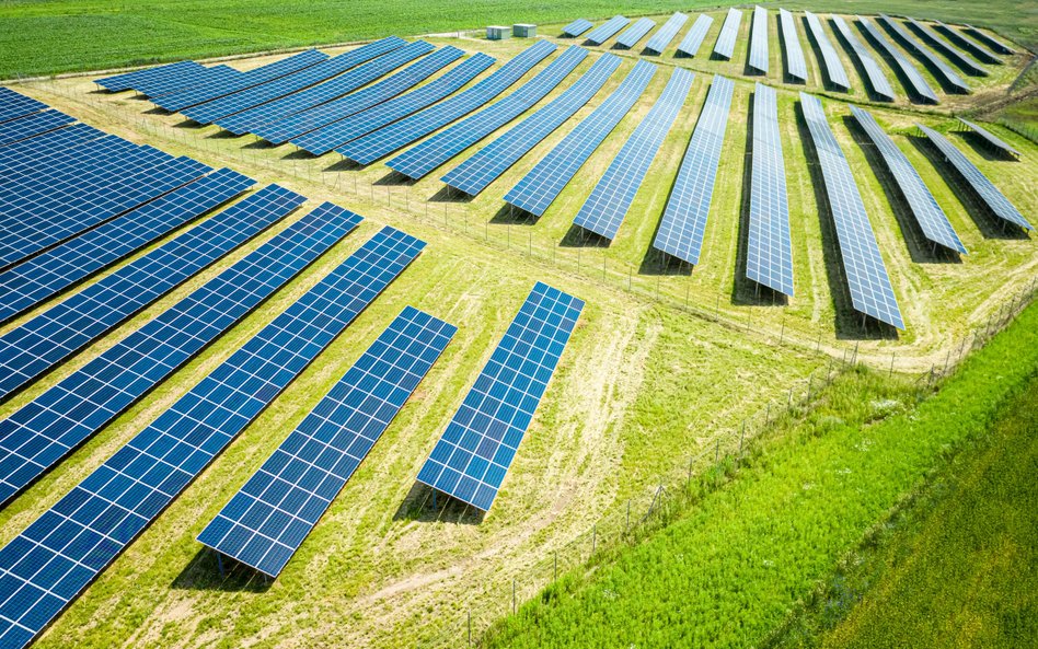 Duże projekty fotowoltaiczne są dziś siłą napędową tej części rynku odnawialnych źródeł energii