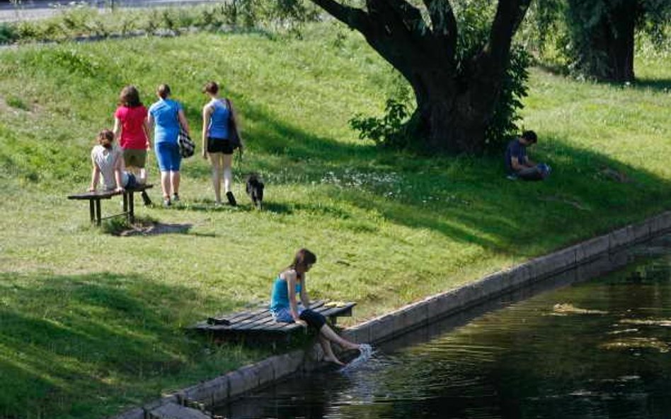 Zamiast nagród będzie park