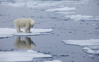 ?t=resize:fill:408:255,enlarge:1