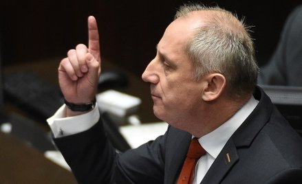 Sławomir Neumann krytykuje przepisy liberalizujące prawo do wycinki drzew