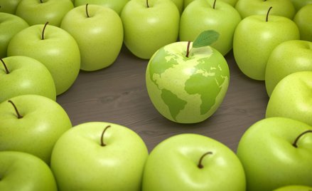 Eksport polskiej żywności wzrósł o 6 proc. pomimo pandemii