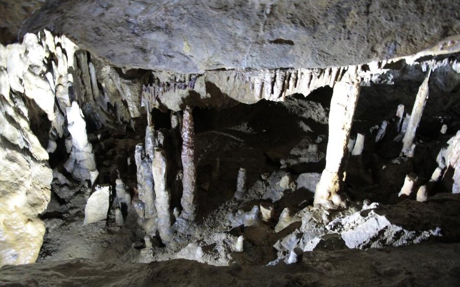 Jaskinie w Han-sur-Lesse w Belgii