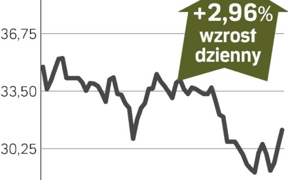azoty tarnów, akcje w górę