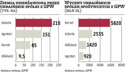 Spółki z GPW skupią ukraińską ziemię?
