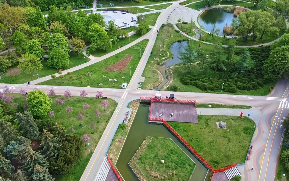 Zbiorniki wodne w Parku Szymańskiego są zarybiane bez wiedzy urzędu dzielnicowego