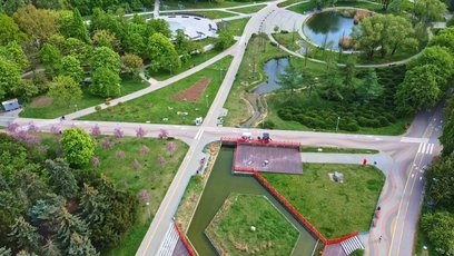 Zbiorniki wodne w Parku Szymańskiego są zarybiane bez wiedzy urzędu dzielnicowego