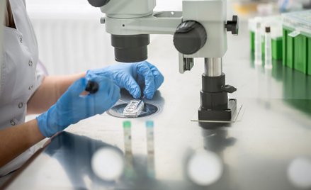 Episkopat wypuszcza podręcznik o in vitro