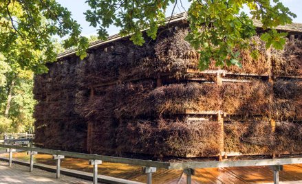 NIK: zamienniki w leczeniu uzdrowiskowym