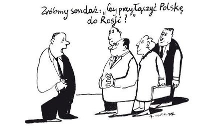 Komentarz rysunkowy. Zróbmy sondaż