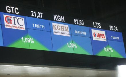 Sfinks szybuje wysoko