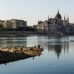 W związku z upałami i suszą poziom wody w Dunaju gwałtownie spadł