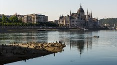 W związku z upałami i suszą poziom wody w Dunaju gwałtownie spadł