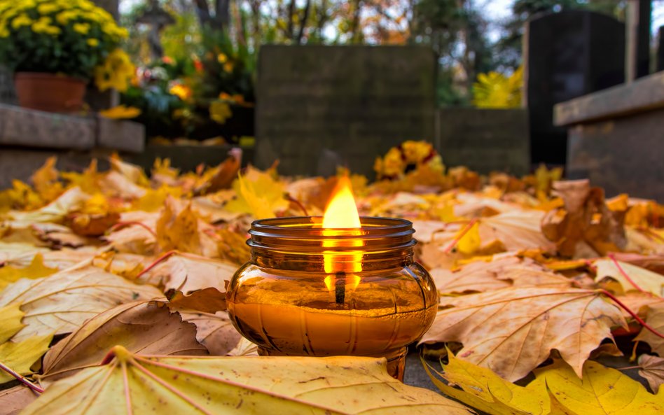 1 i 2 listopada dla Warszawy prognozy przewidują dość przyjemną aurę