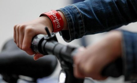 Cordia i Polnord mają się ku sobie