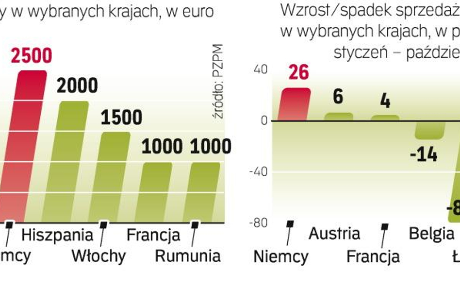 Na dopłatach skorzystali producenci małych samochodów. Większe powodzenie miały też auta z silnikiem