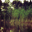 Wolno budować w obszarze Natura 2000
