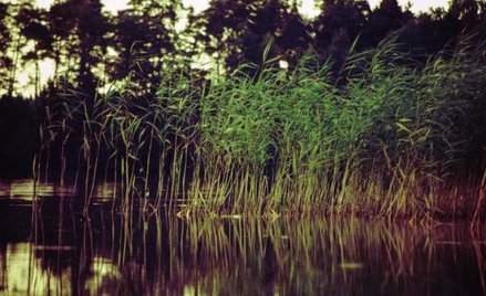 Wolno budować w obszarze Natura 2000
