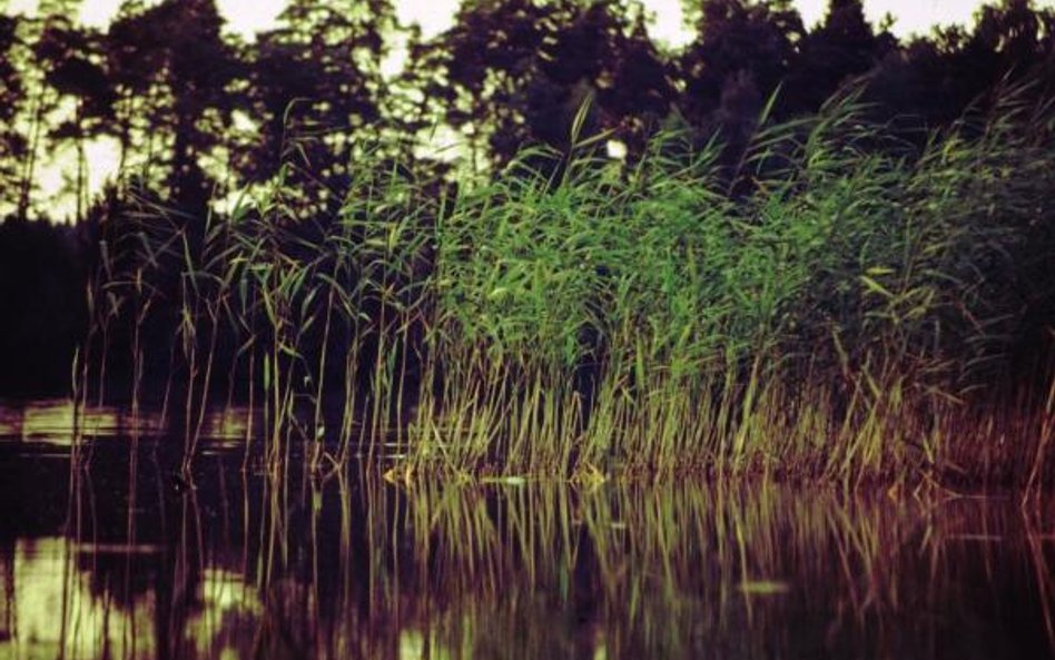 Wolno budować w obszarze Natura 2000