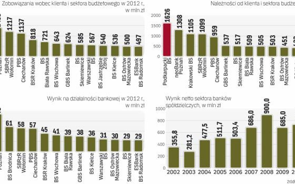 Trudniejszy rok dla banków spółdzielczych